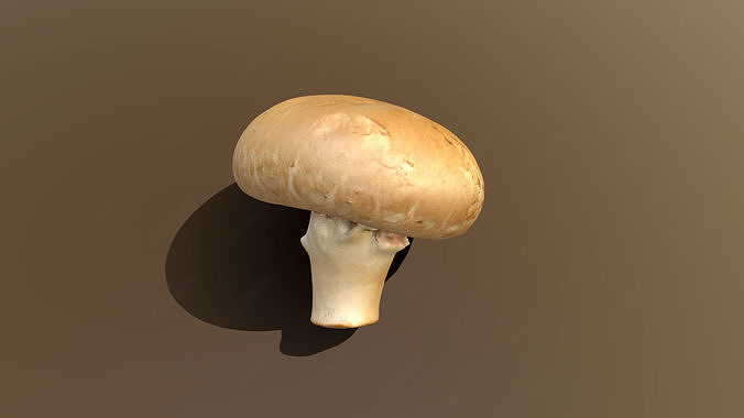 Chestnut Mushroom 3D model