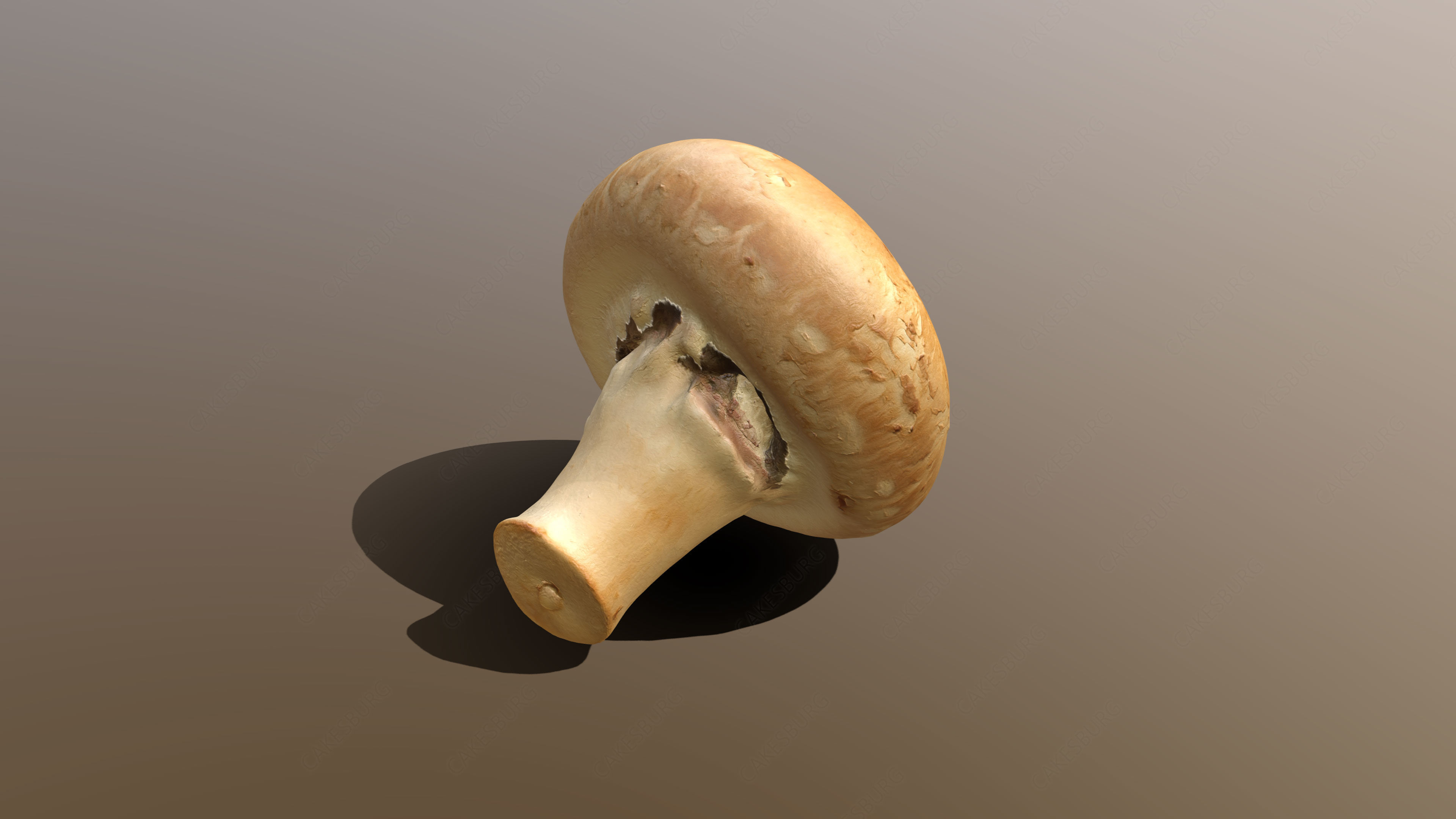 Chestnut Mushroom 3D model_1