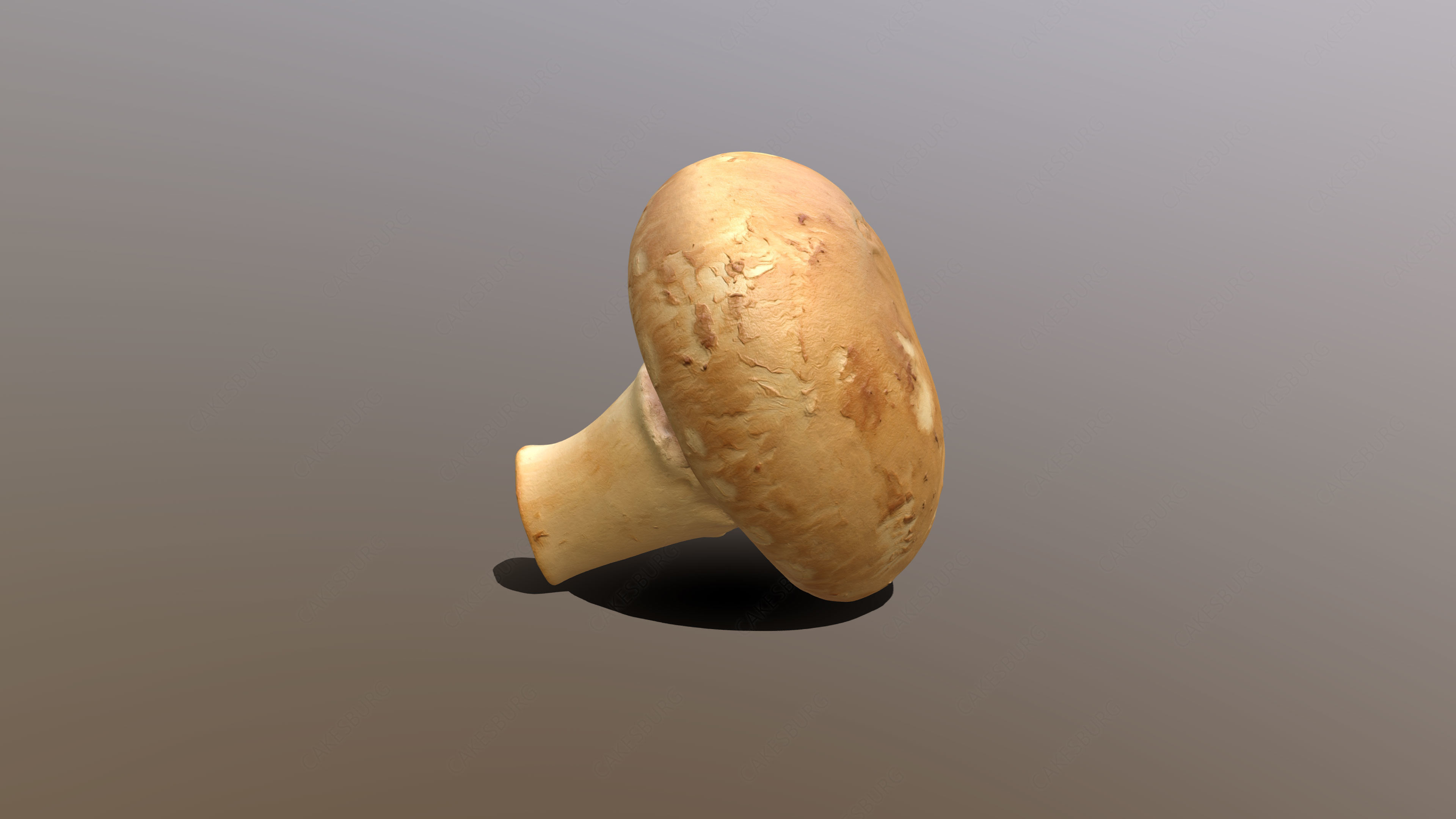 Chestnut Mushroom 3D model_3