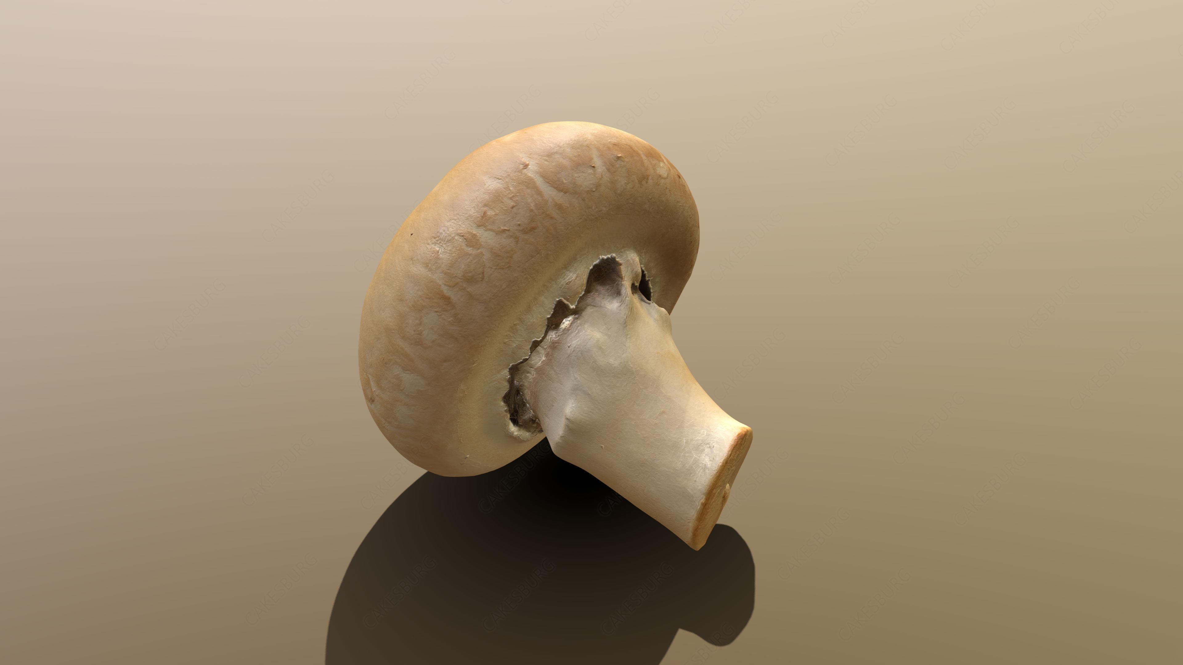 Chestnut Mushroom 3D model_2