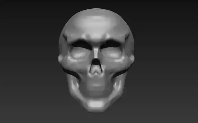 3d skull