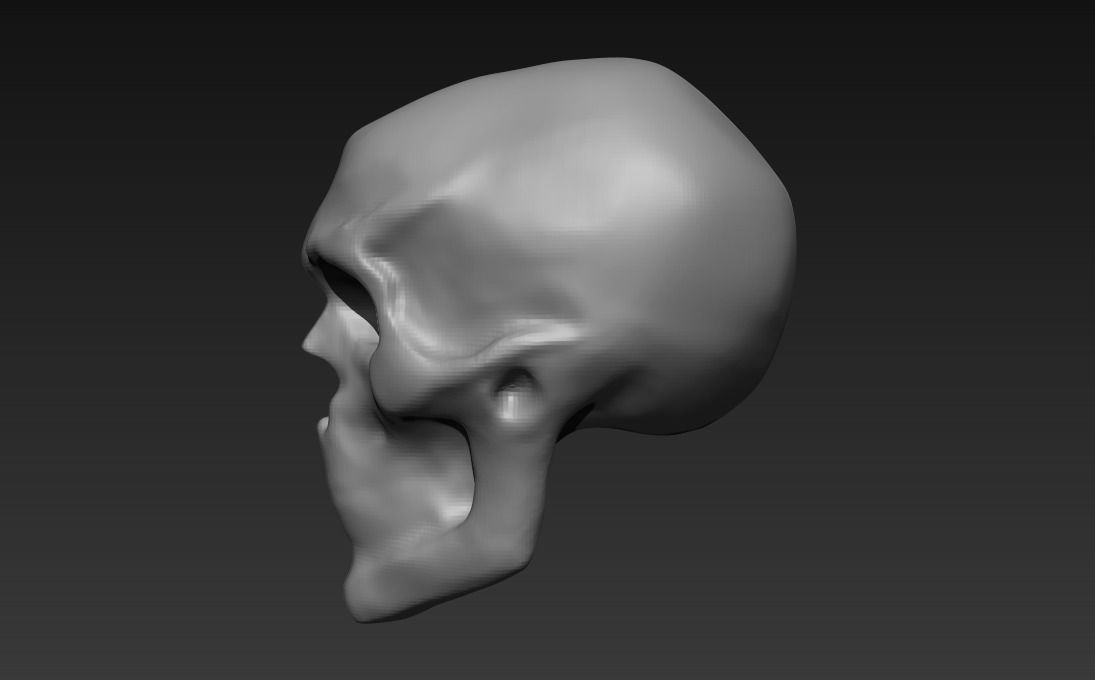 3d skull 3D model_2