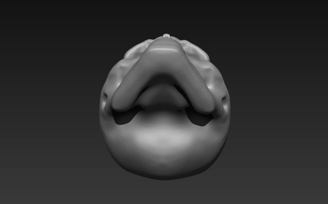 3d skull 3D model_3