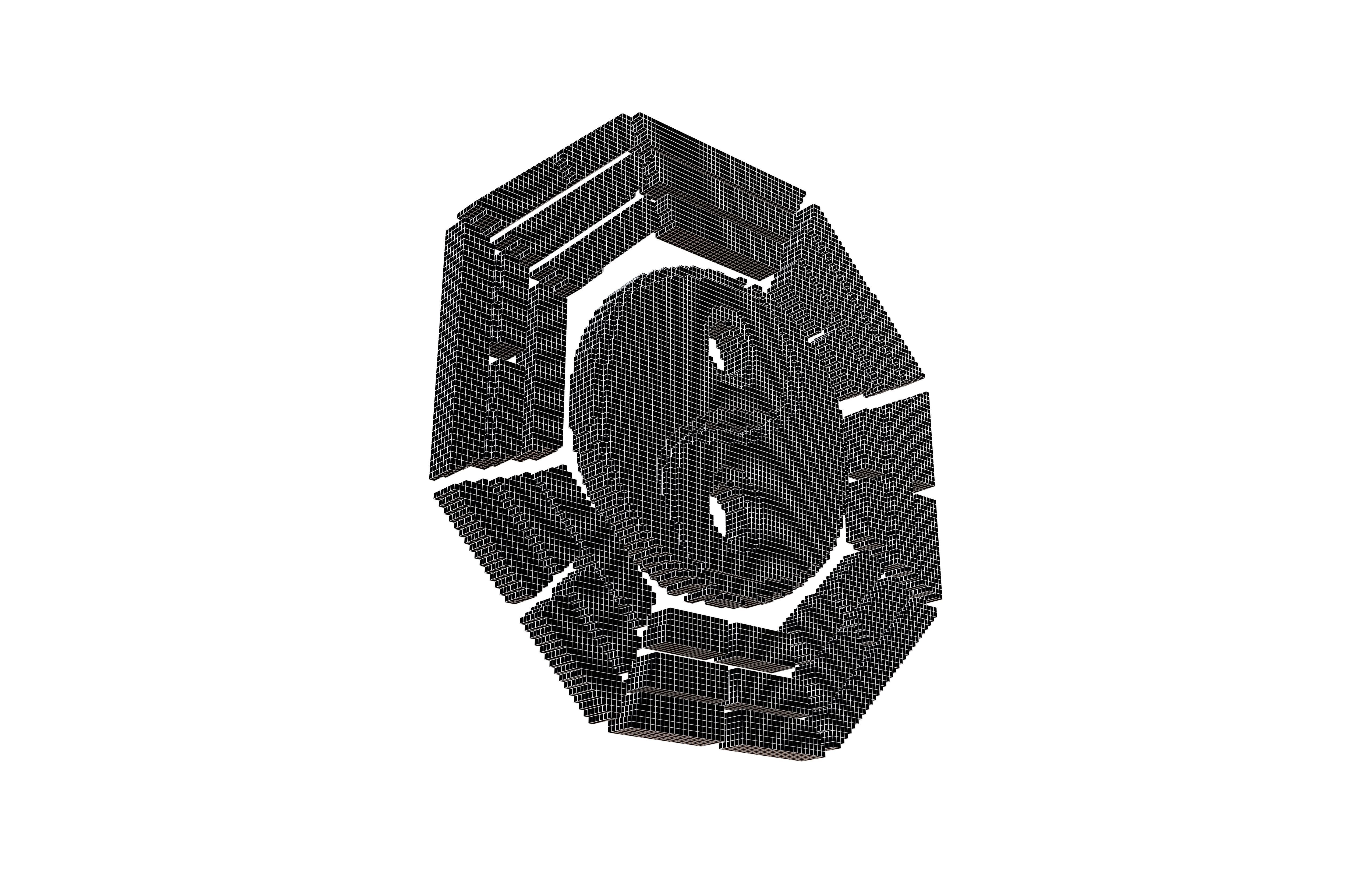 Voxel Taiji Bagua v1 001 Low-poly 3D model_5