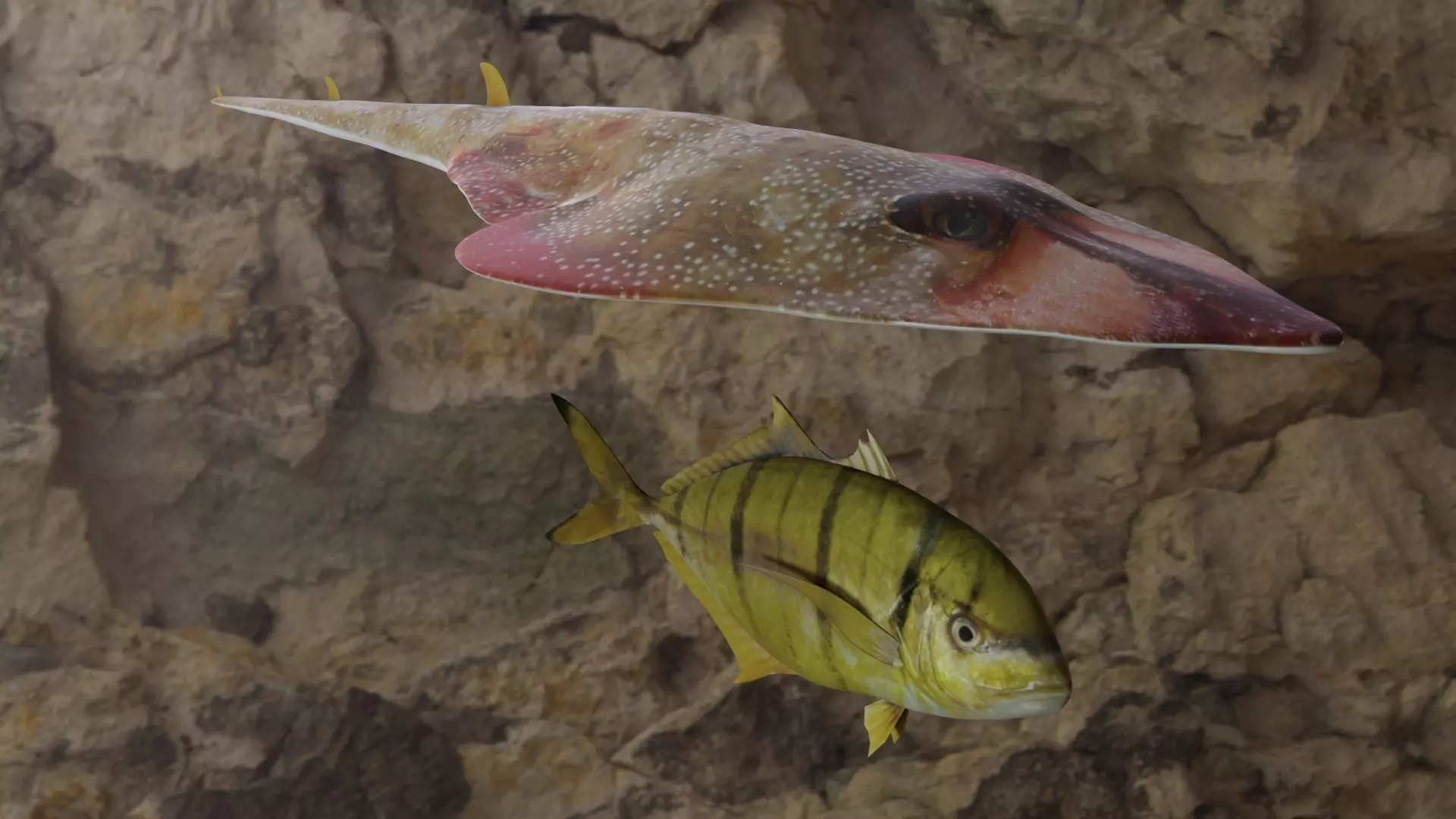 Fishes fish 3D Model Collection_0