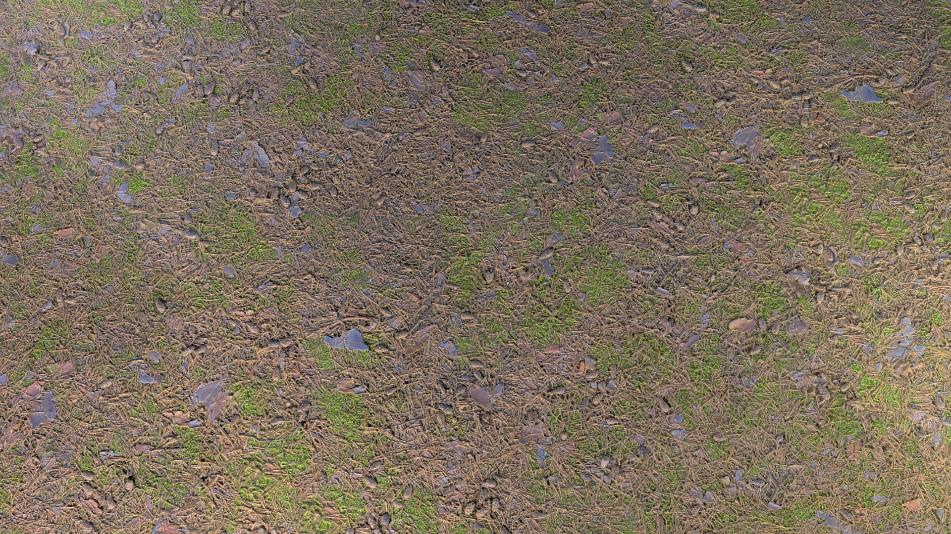 Needles-Pine 03 Texture_2