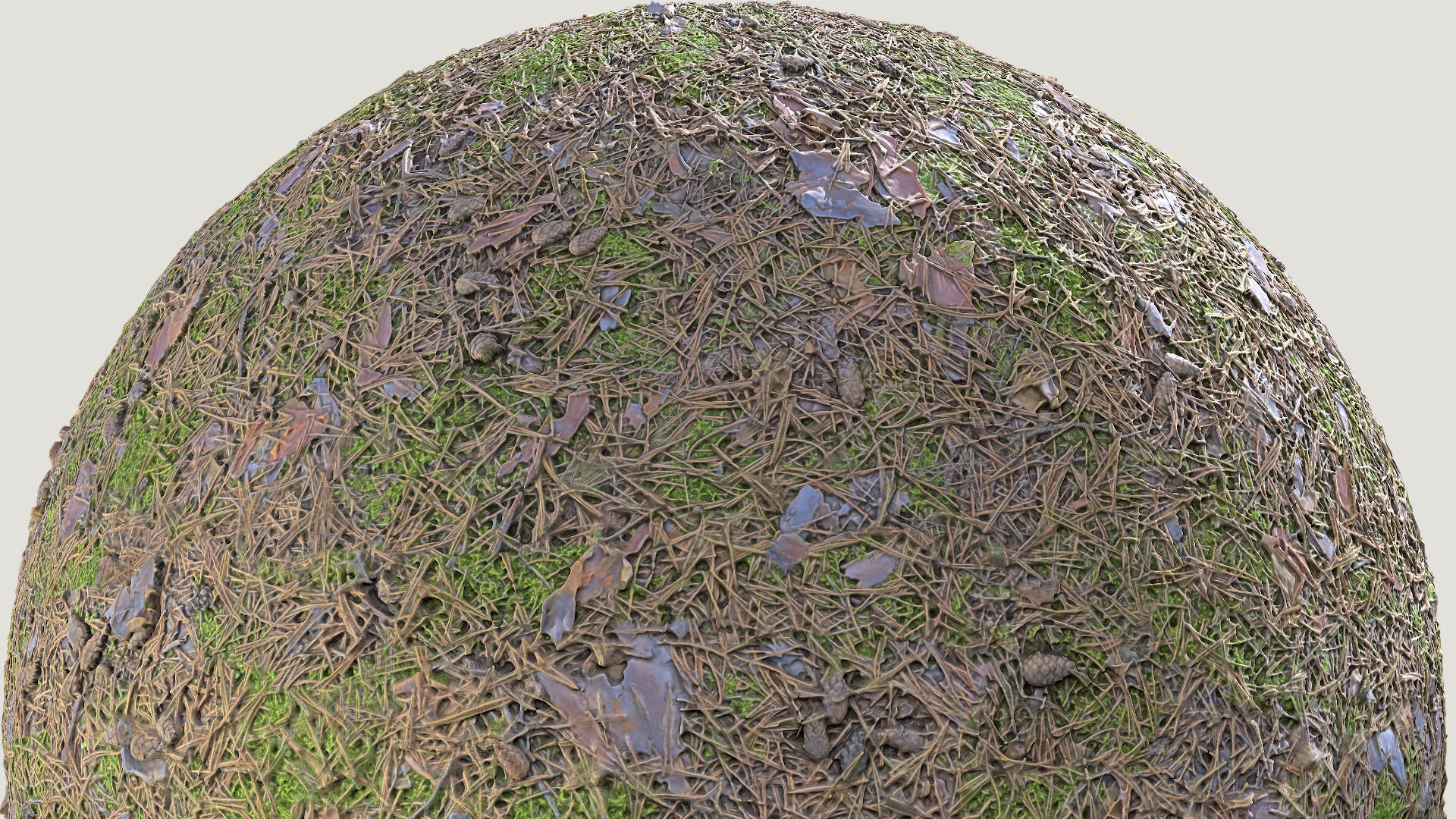 Needles-Pine 03 Texture_4