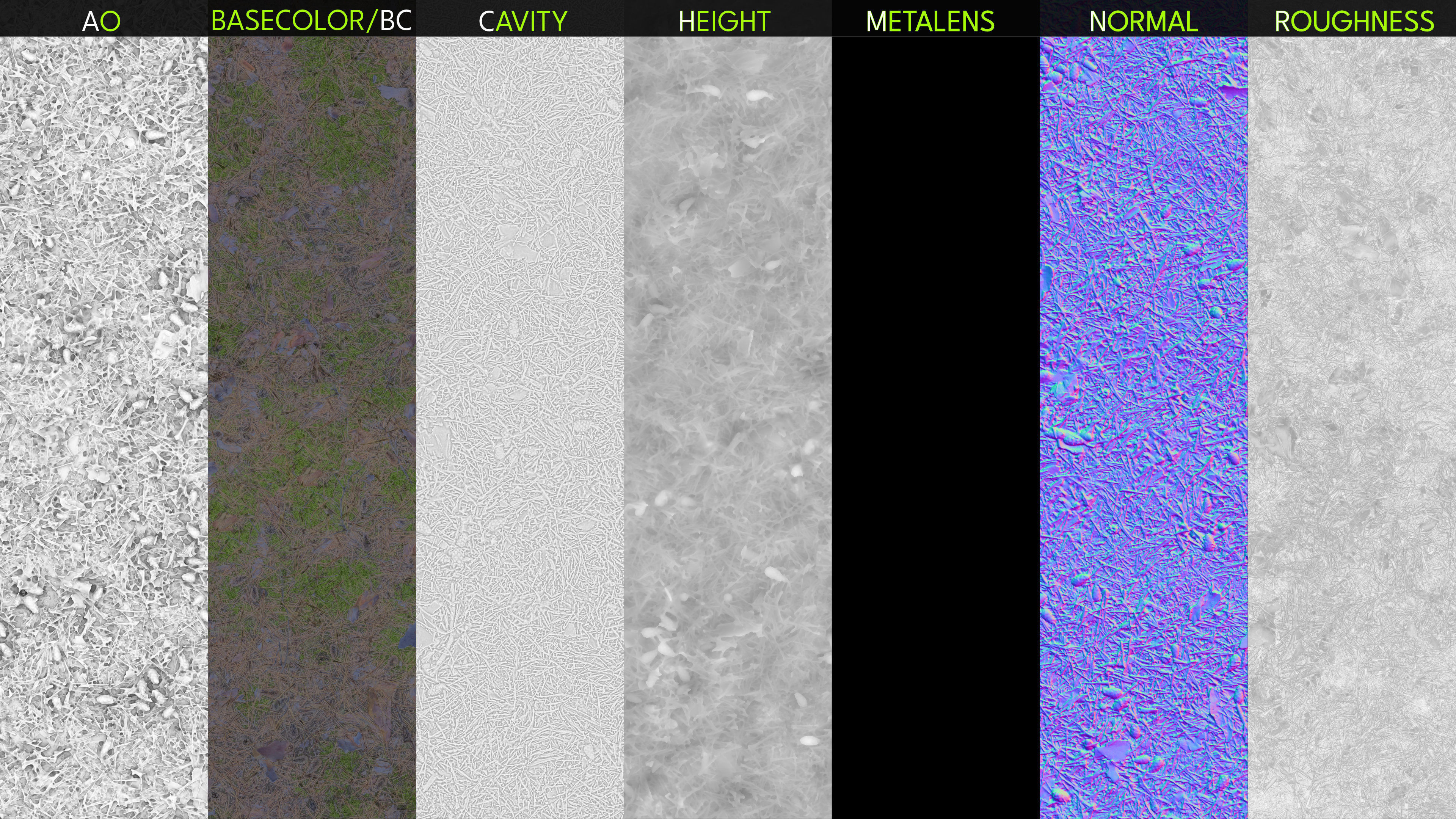 Needles-Pine 03 Texture_3