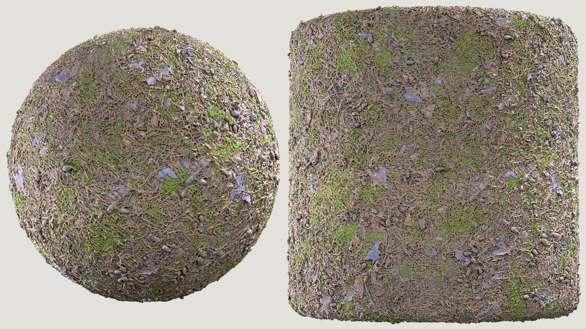 Needles-Pine 03 Texture_1