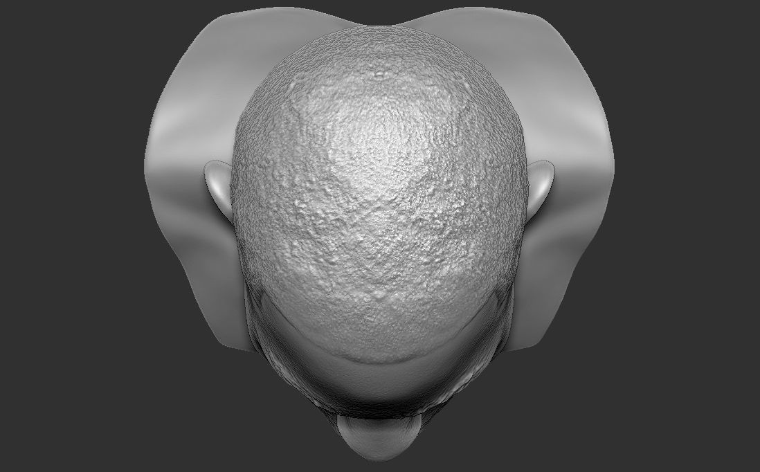 Tyler The Creator bust for 3D printing 3D print model_29