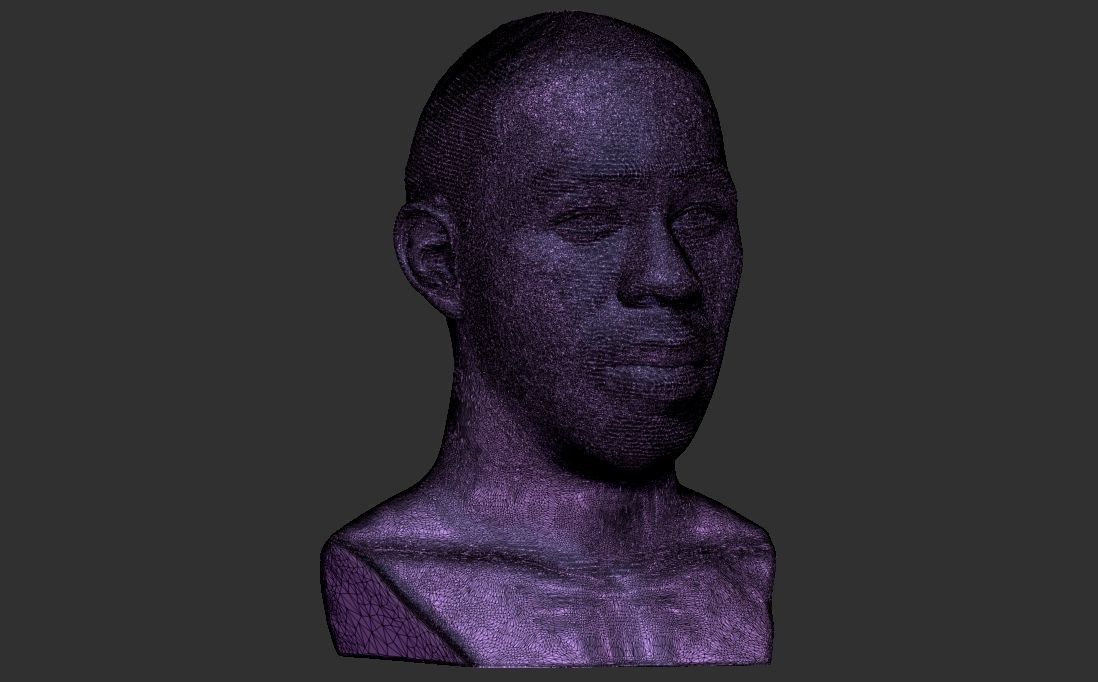 Tyler The Creator bust for 3D printing 3D print model_31