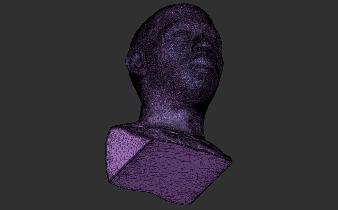 Tyler The Creator bust for 3D printing 3D print model_34