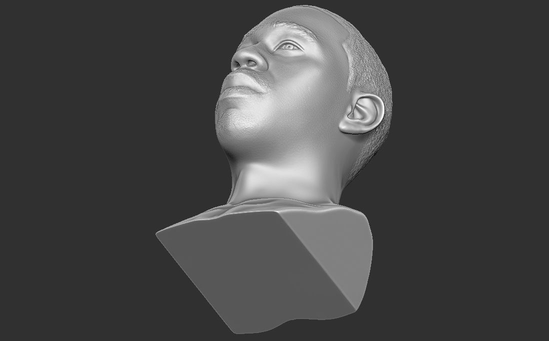 Tyler The Creator bust for 3D printing 3D print model_27