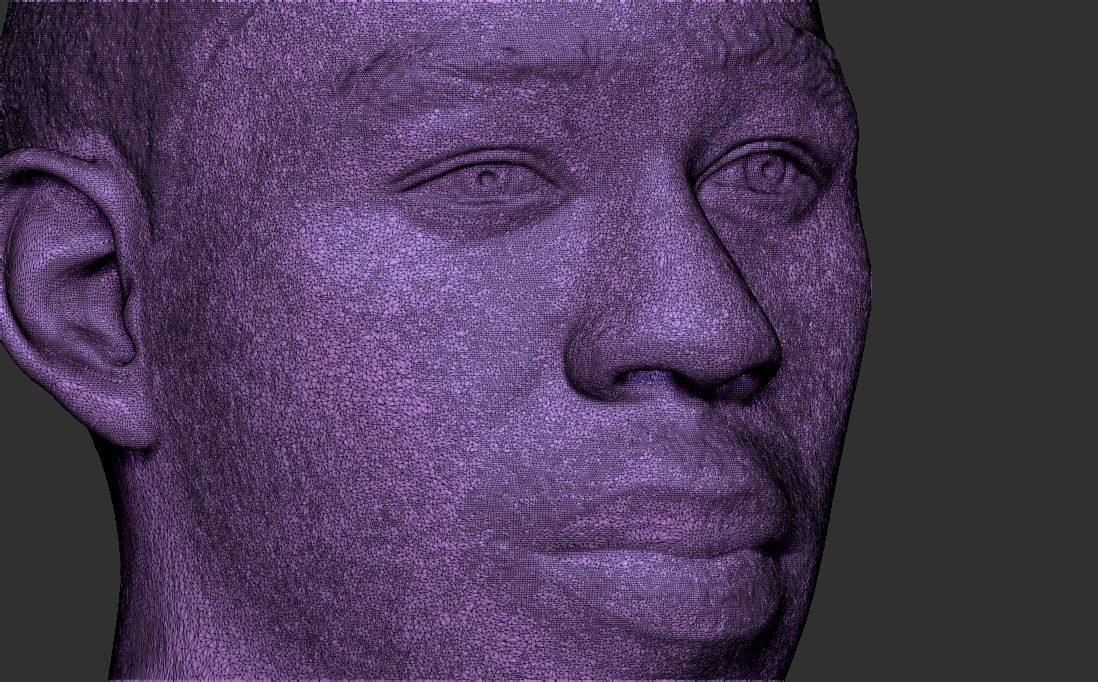 Tyler The Creator bust for 3D printing 3D print model_33