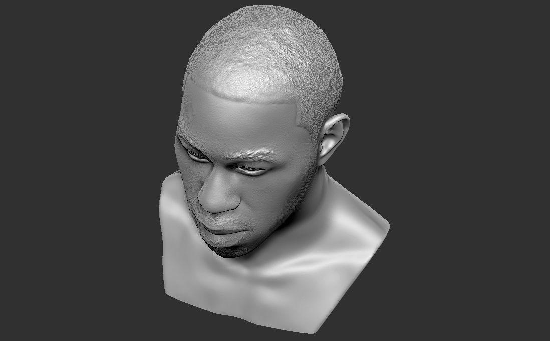 Tyler The Creator bust for 3D printing 3D print model_24