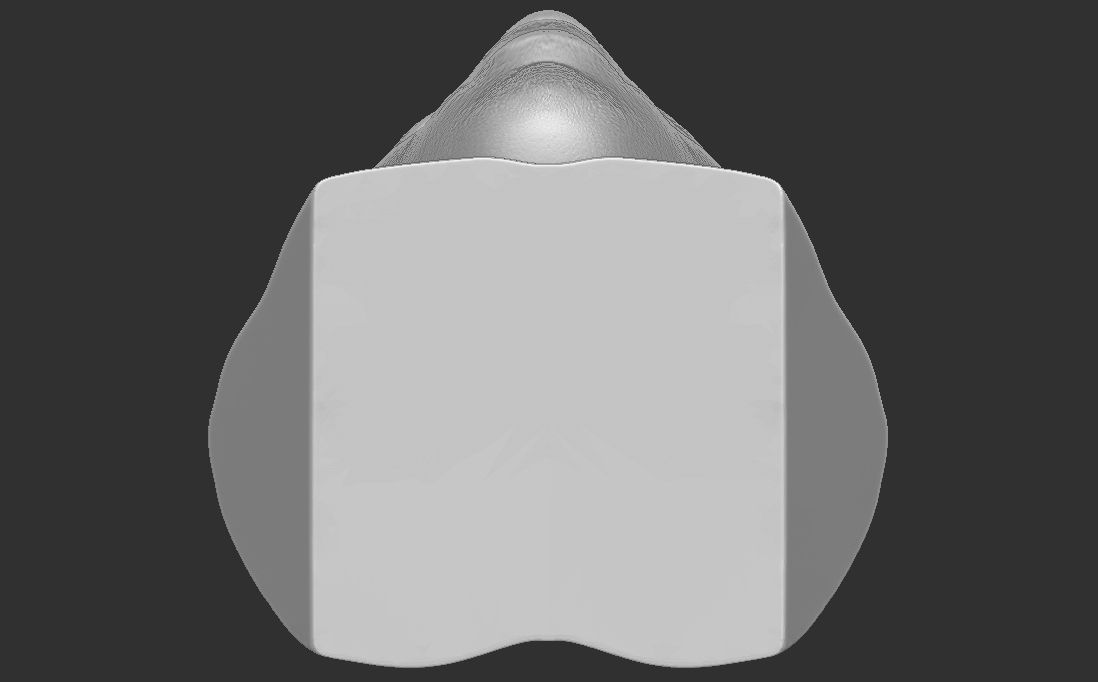 Tyler The Creator bust for 3D printing 3D print model_28