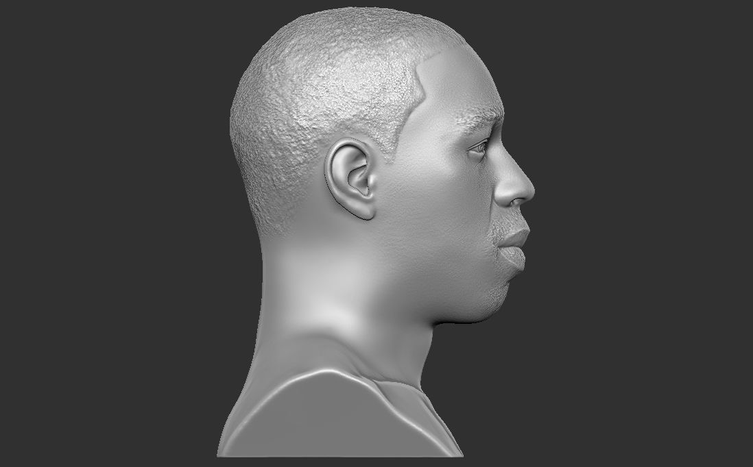 Tyler The Creator bust for 3D printing 3D print model_13
