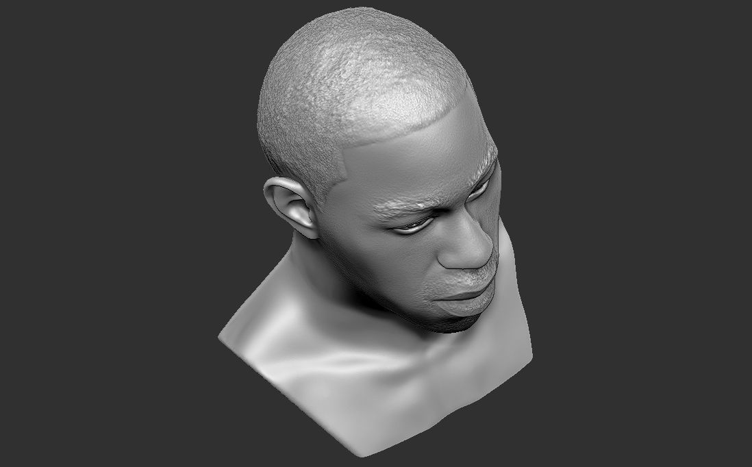 Tyler The Creator bust for 3D printing 3D print model_25