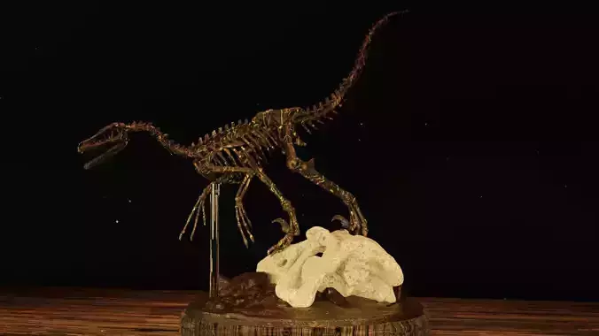 Velociraptor Skeleton Diorama with T-Rex 3D print model