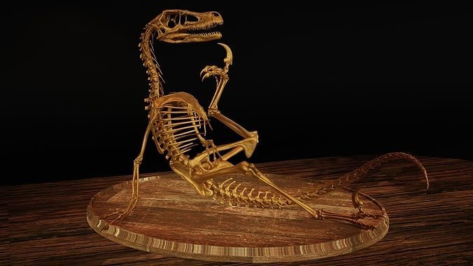 Velociraptor Skeleton Meme Diorama Philosoraptor 3D print model