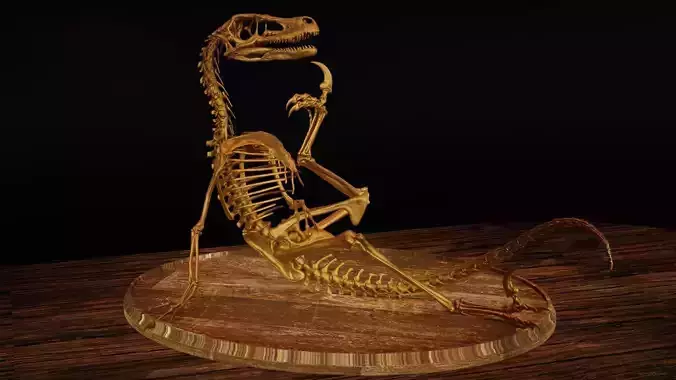 Velociraptor Skeleton Meme Diorama Philosoraptor 3D print model