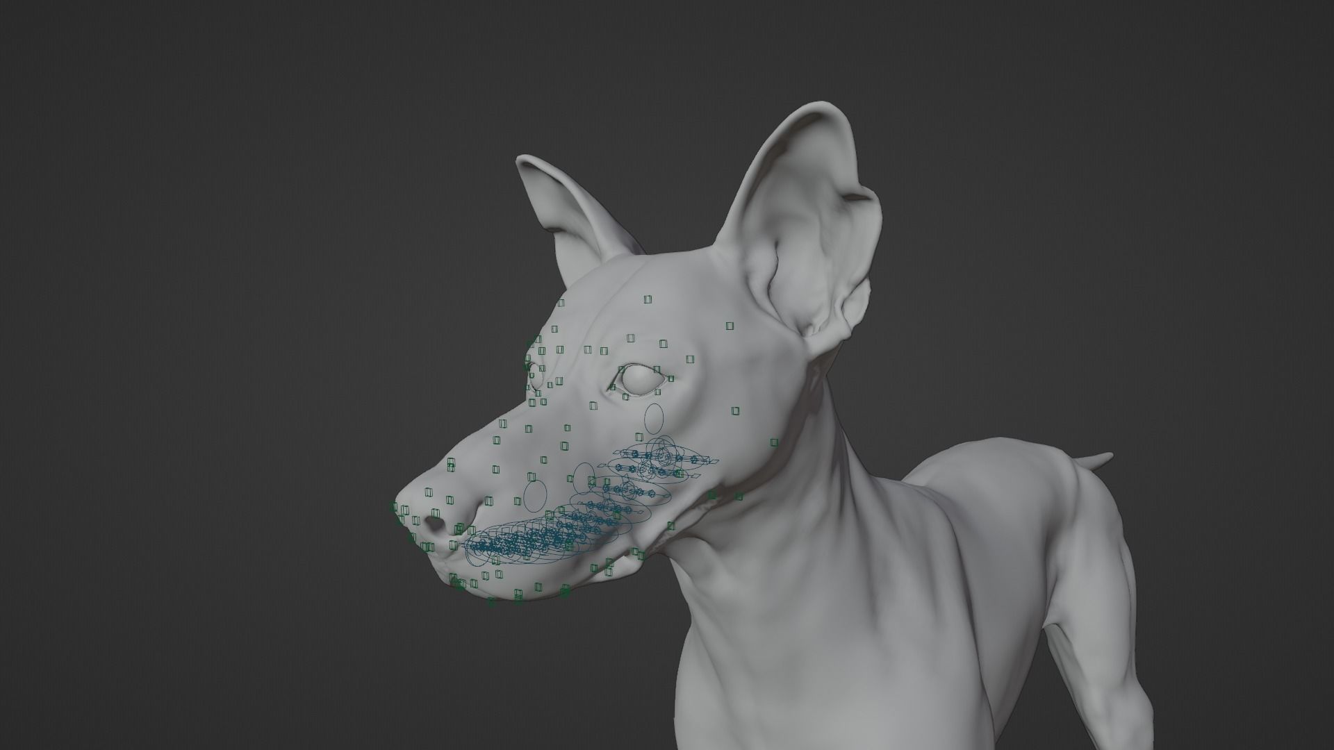 Chinese Rural Dog Animated VFX Grace 3D model_17