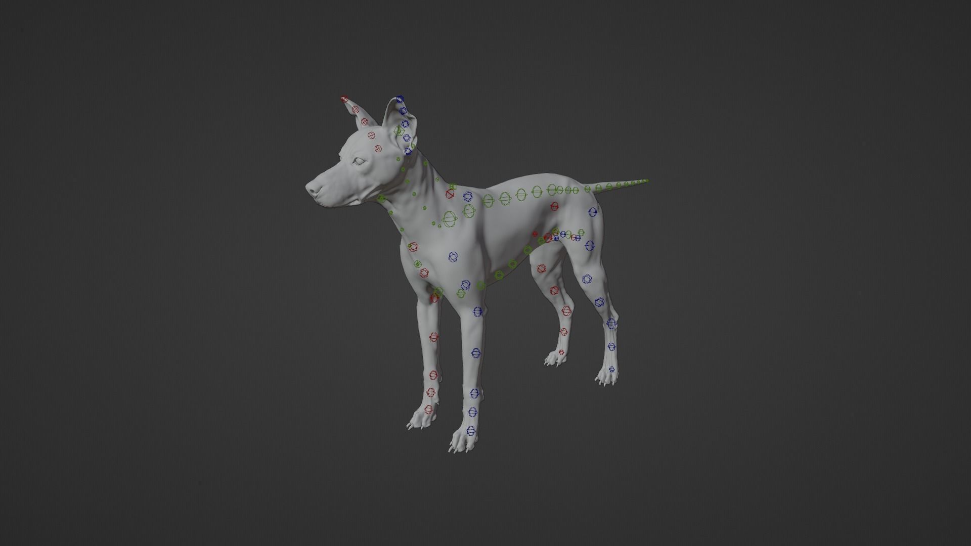 Chinese Rural Dog Animated VFX Grace 3D model_16