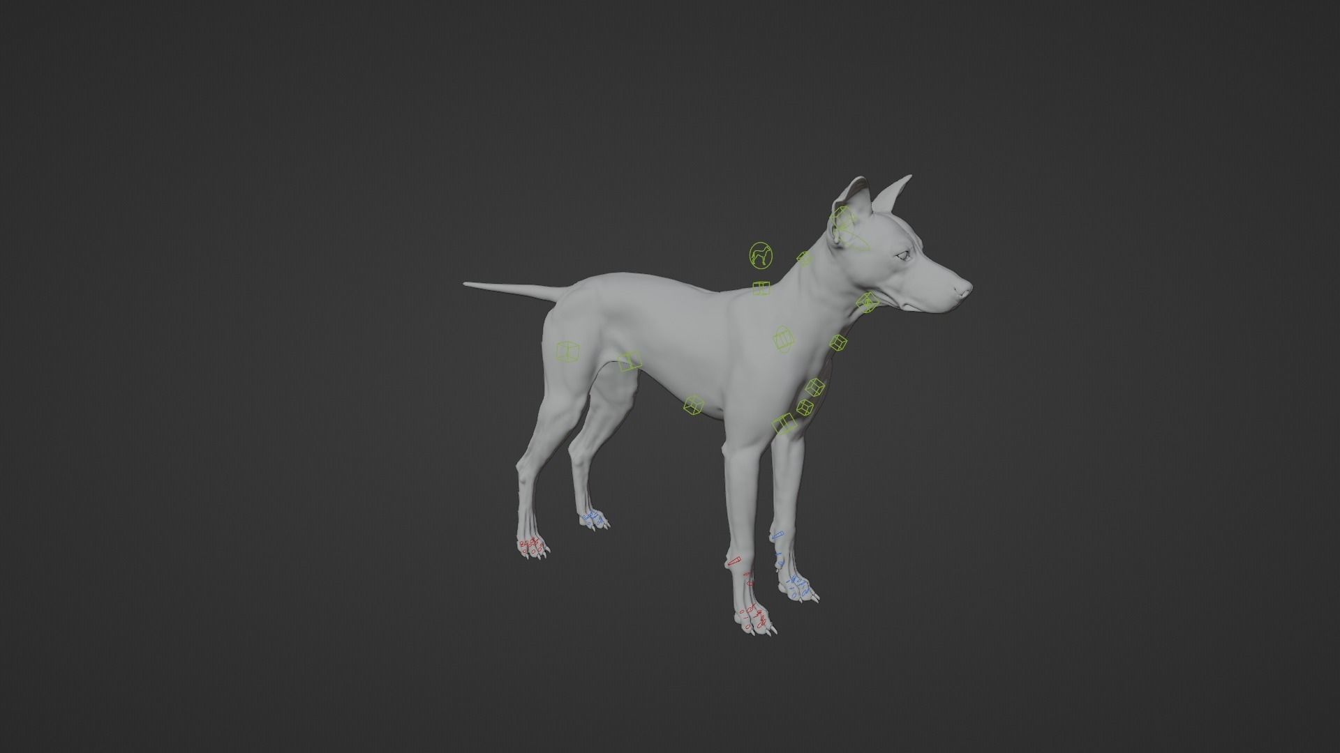 Chinese Rural Dog Animated VFX Grace 3D model_14