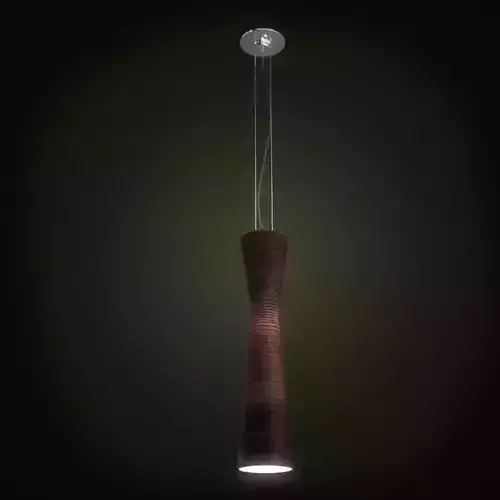 Modern Ceiling Lamp