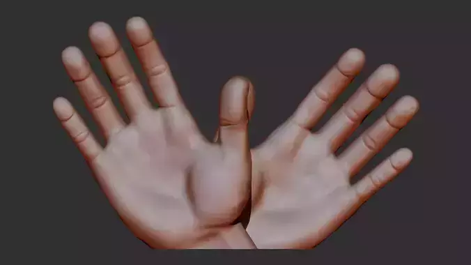 hand 3d print model