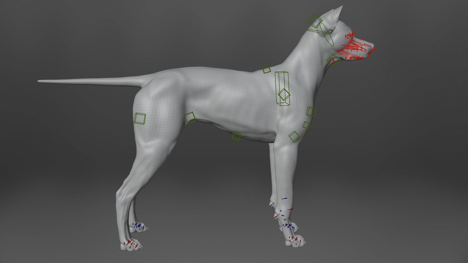 Akita Dog Animated VFX Grace 3D model_19