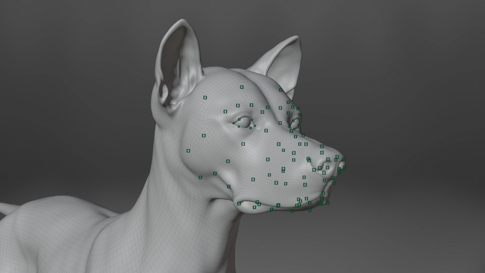 Akita Dog Animated VFX Grace 3D model_29