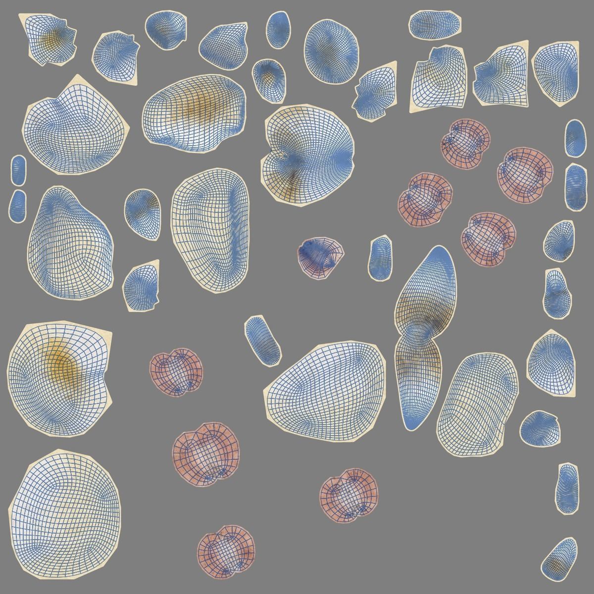 Akita Dog Animated VFX Grace 3D model_32