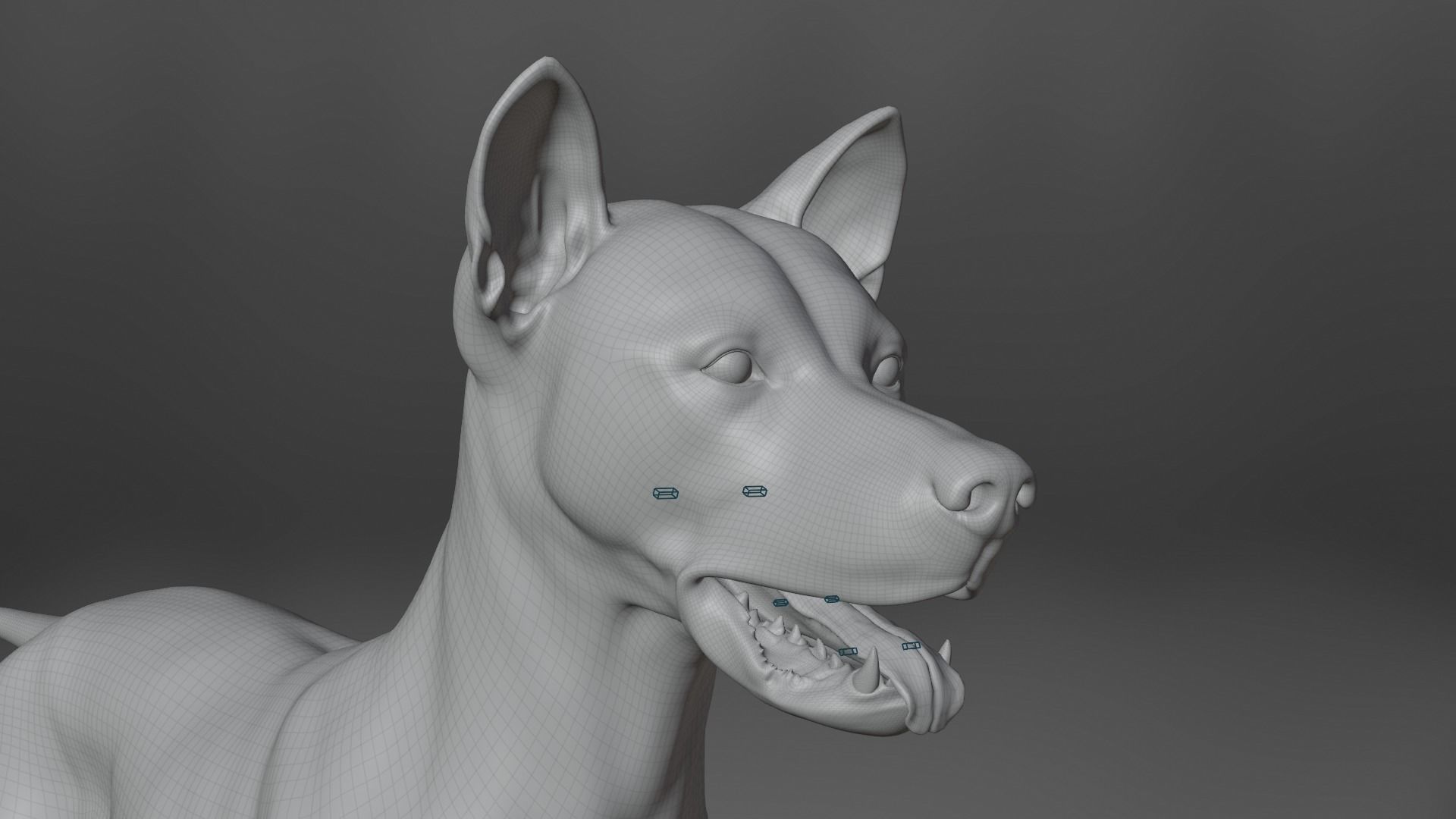 Akita Dog Animated VFX Grace 3D model_27