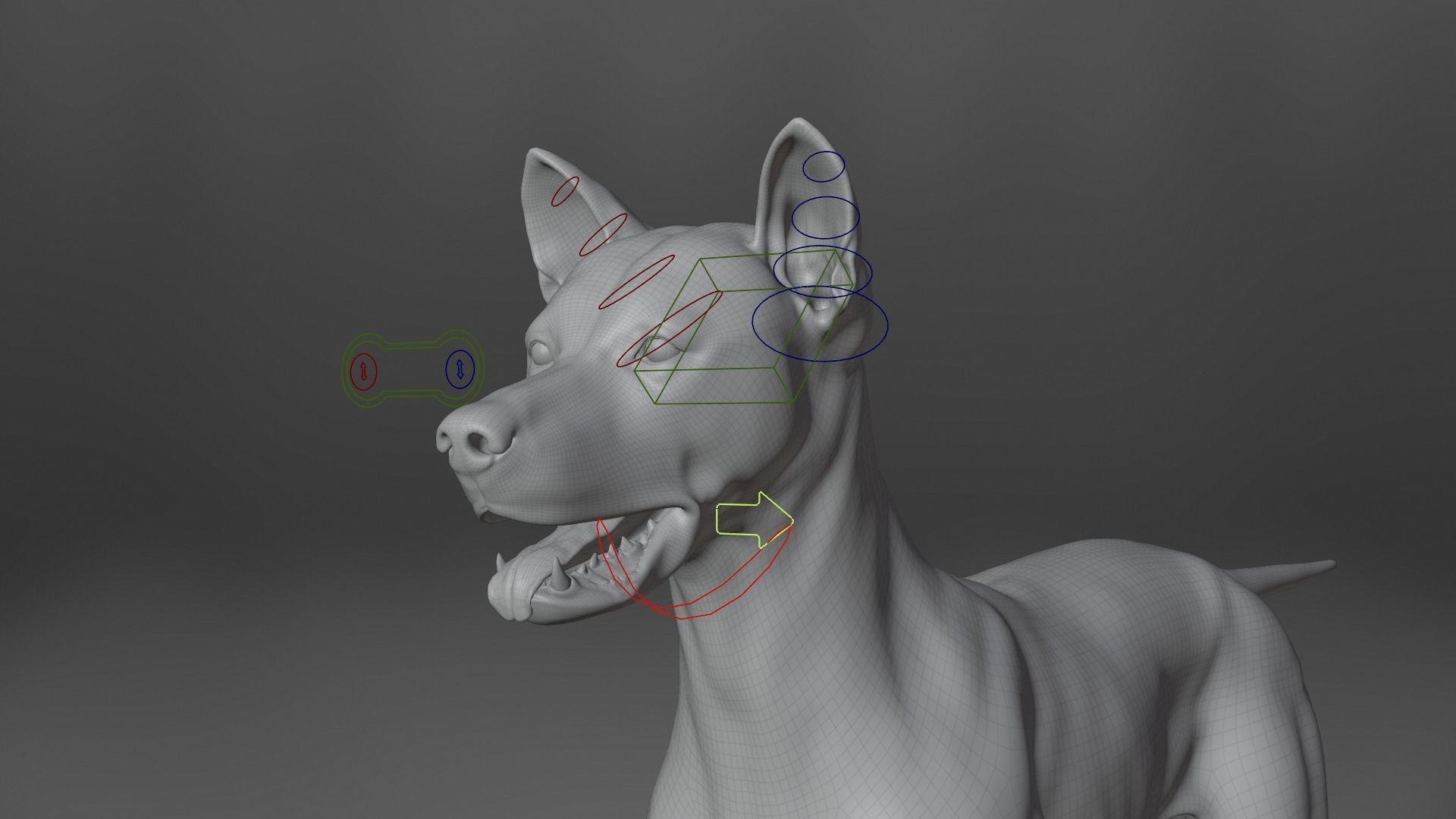 Akita Dog Animated VFX Grace 3D model_22