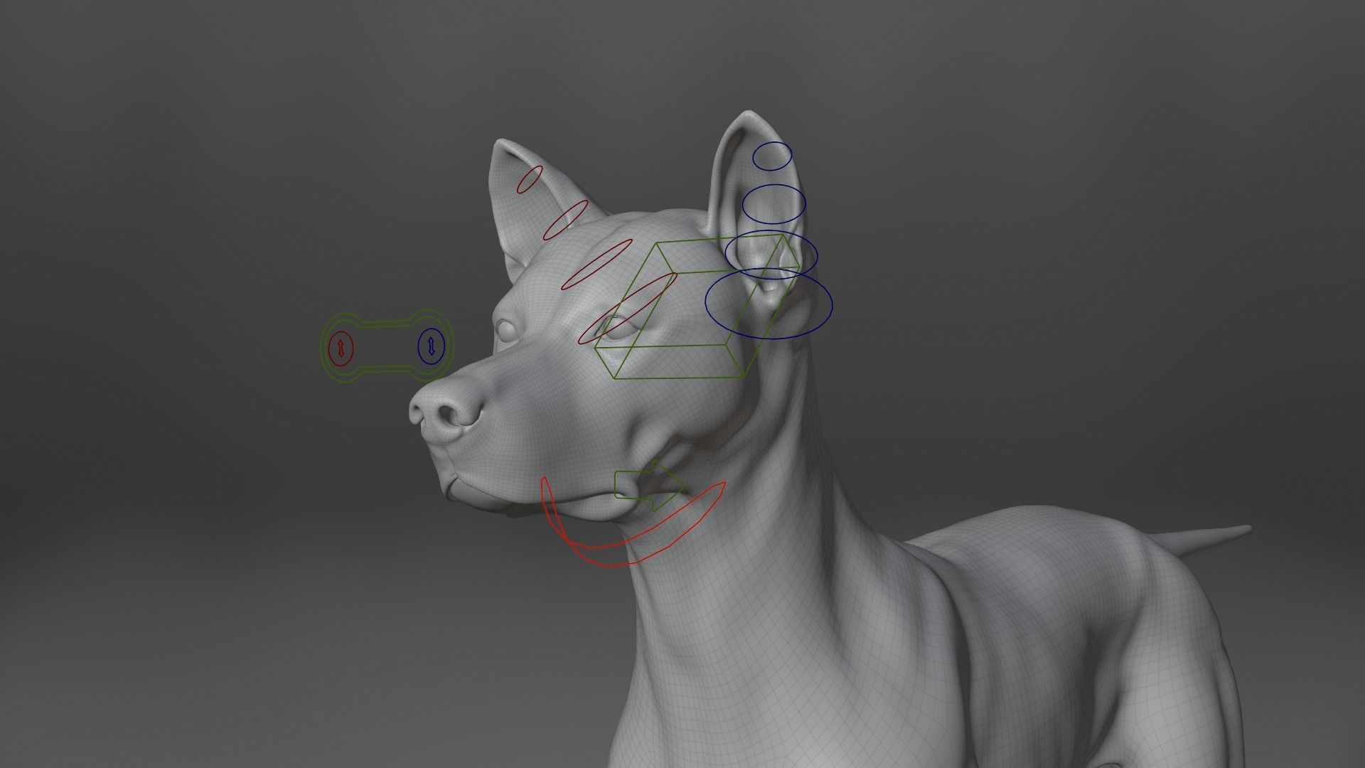 Akita Dog Animated VFX Grace 3D model_21