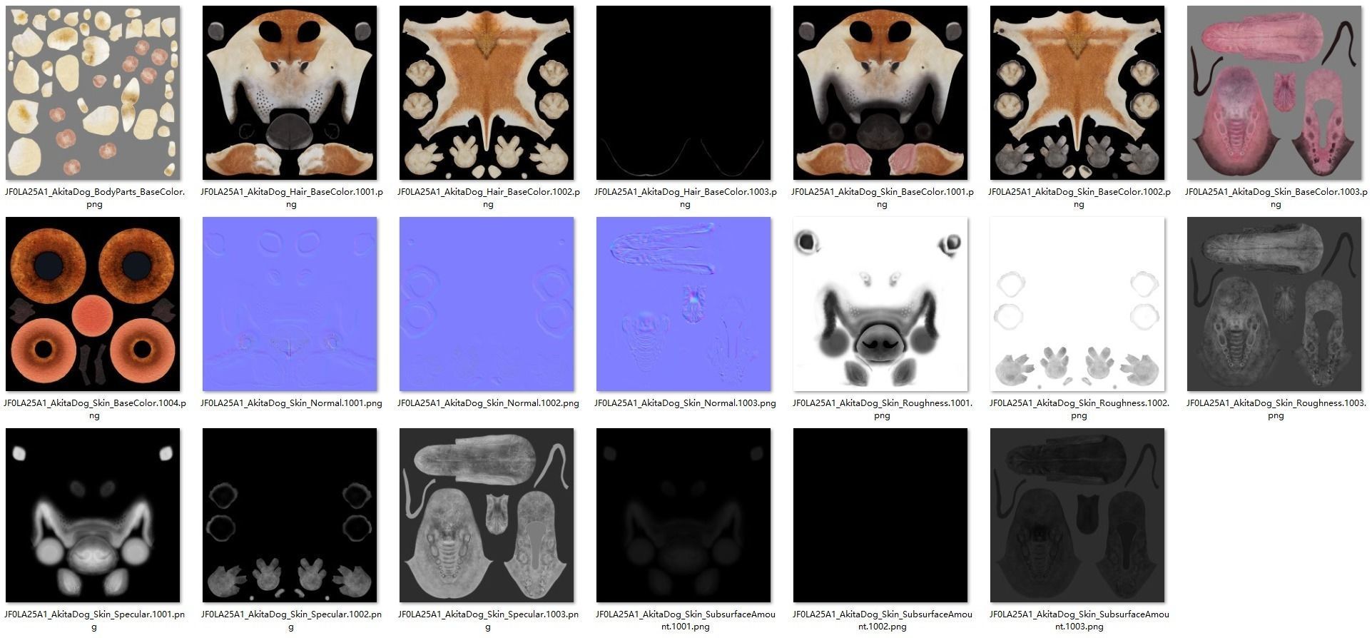 Akita Dog Animated VFX Grace 3D model_33