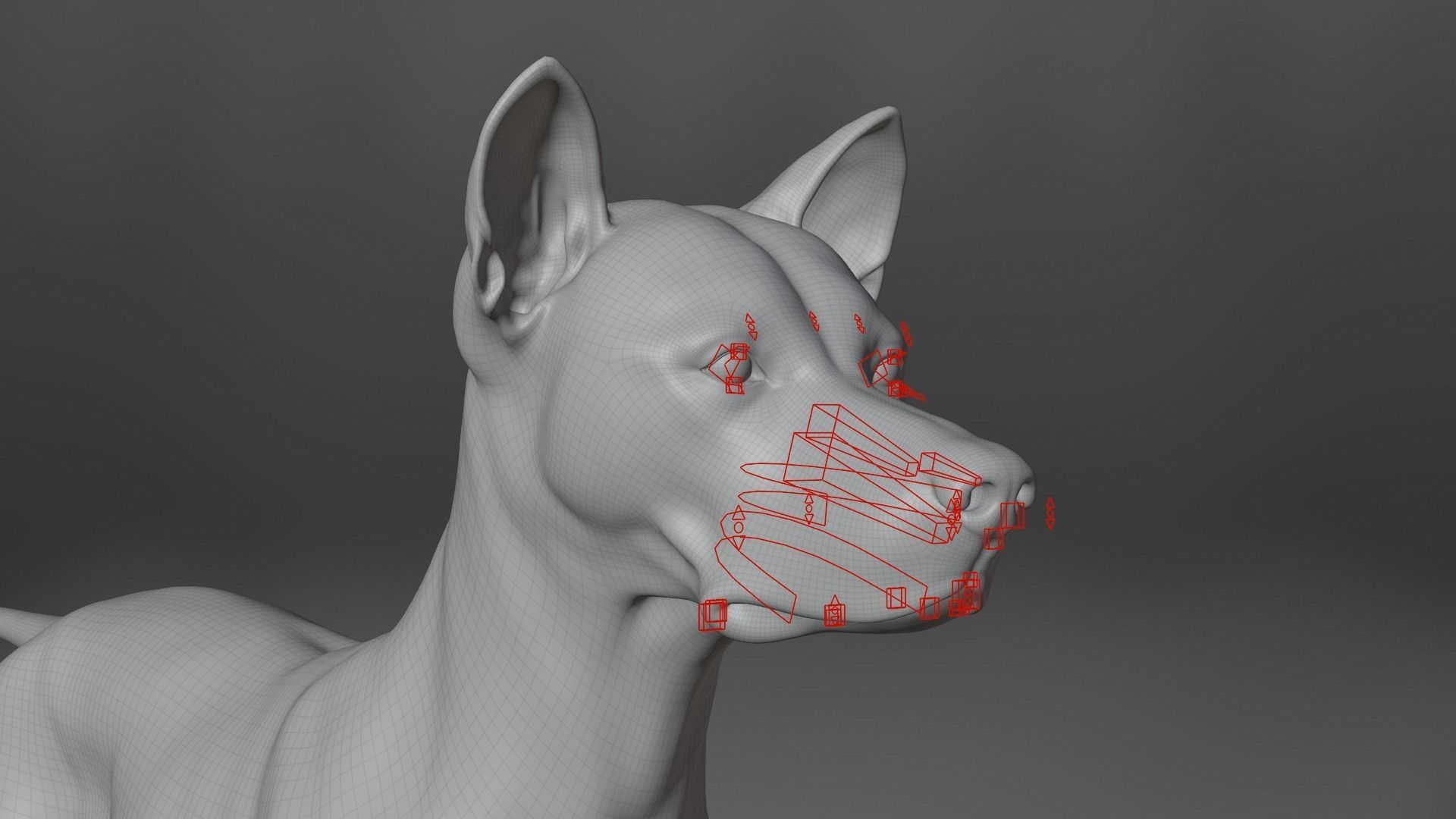 Akita Dog Animated VFX Grace 3D model_24