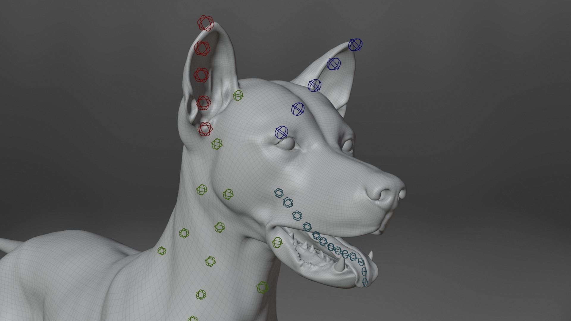 Akita Dog Animated VFX Grace 3D model_28