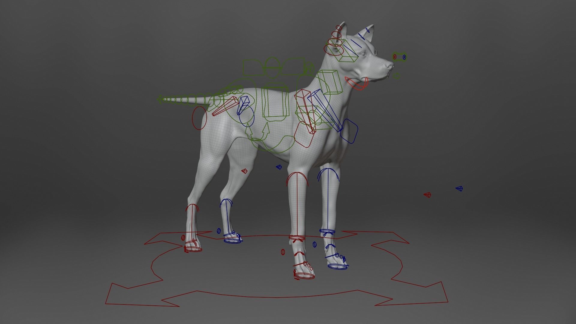 Akita Dog Animated VFX Grace 3D model_17