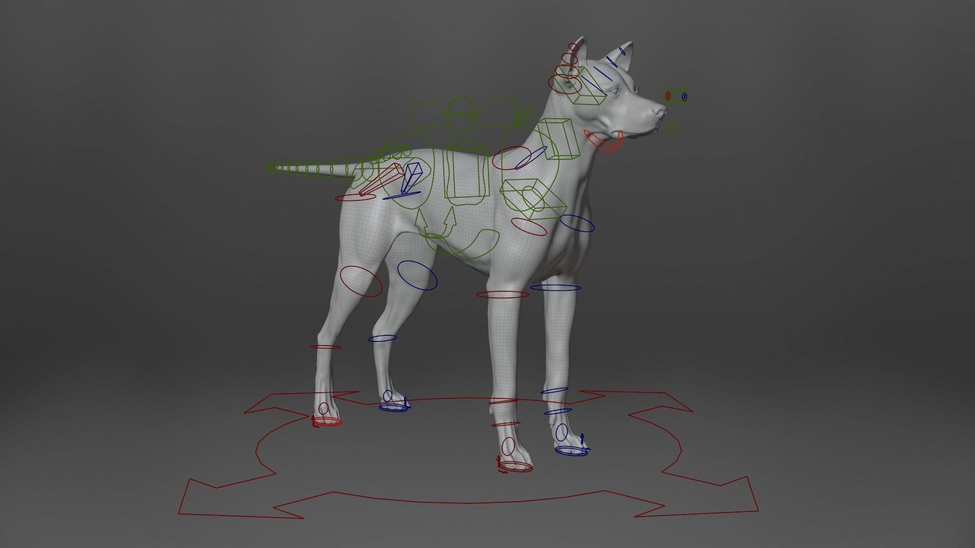 Akita Dog Animated VFX Grace 3D model_18