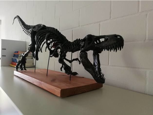 T-Rex Skeleton - Leo Burton 3D print model_11