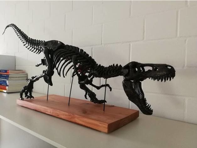 T-Rex Skeleton - Leo Burton 3D print model_10