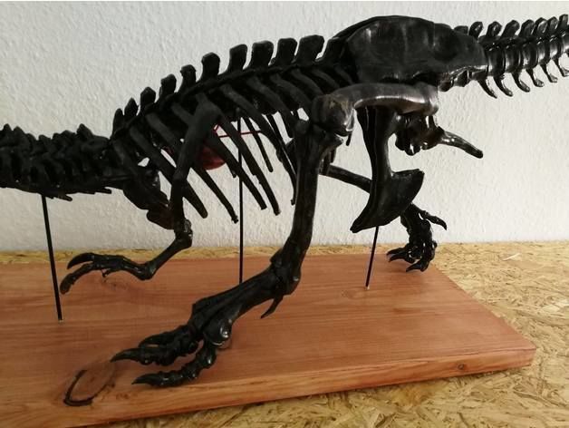 T-Rex Skeleton - Leo Burton 3D print model_9