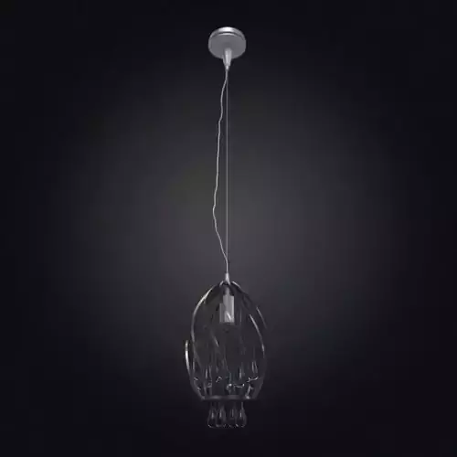 Hanging Ceiling Lighting