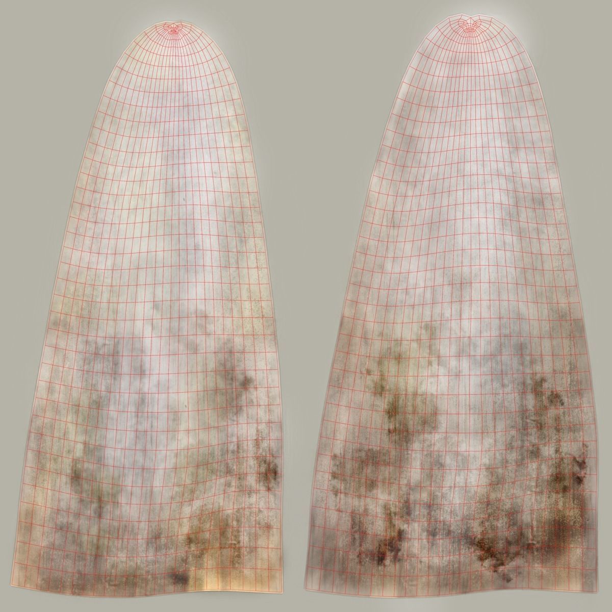 African Elephant Animated 3D model_13