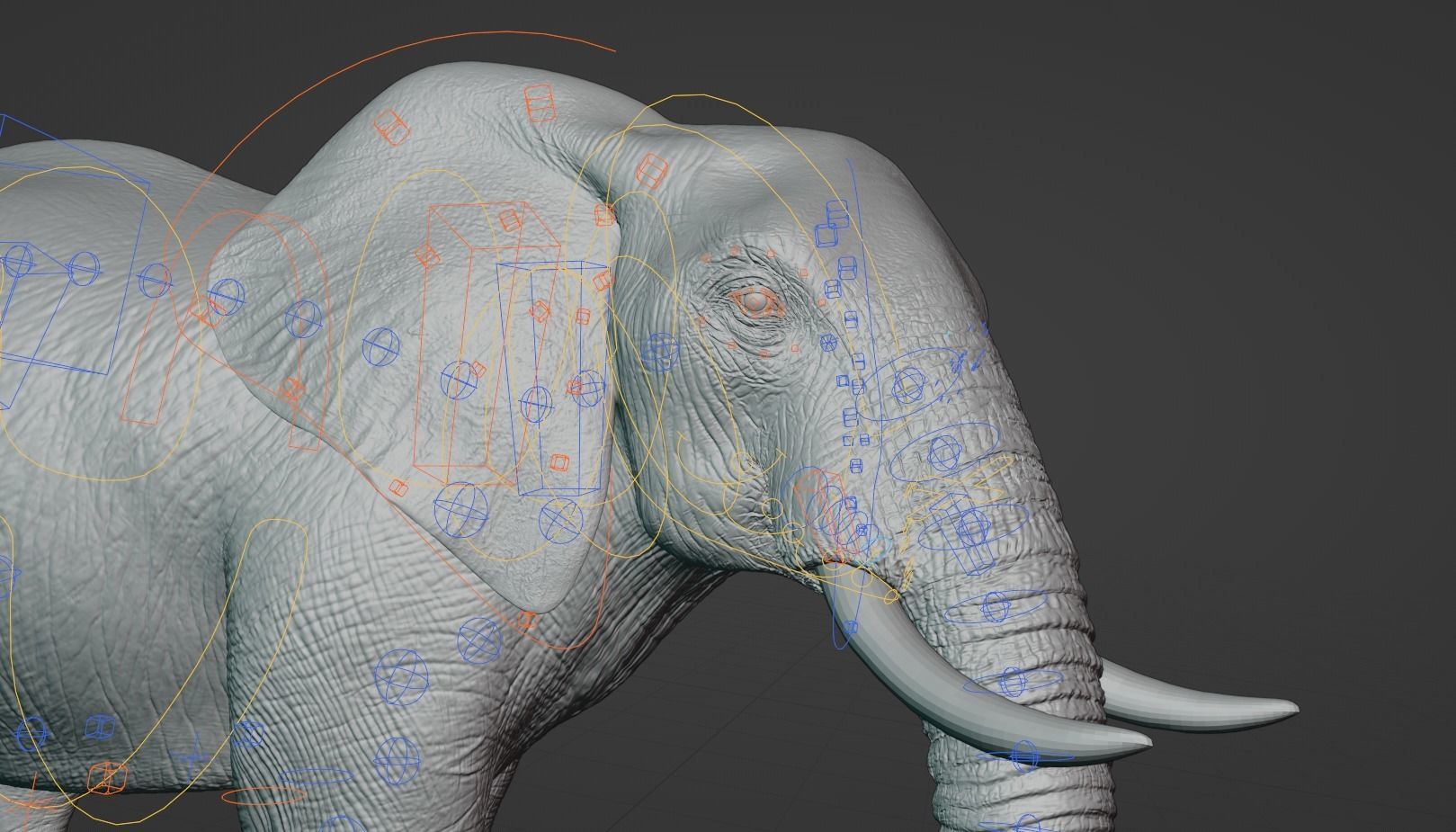 African Elephant Animated 3D model_11