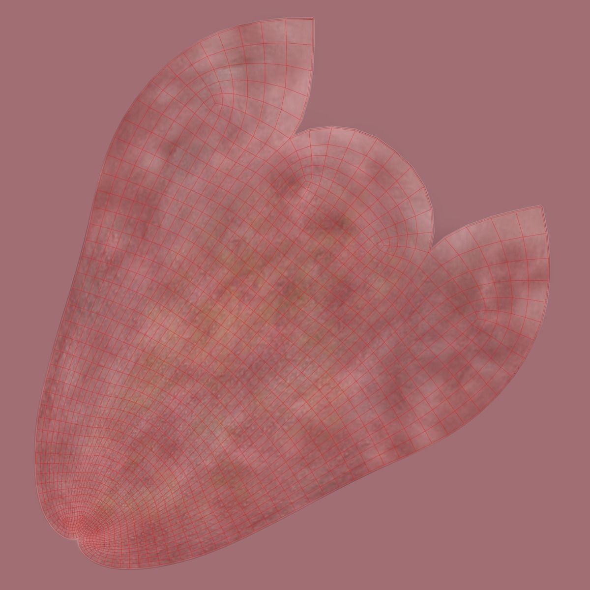 African Elephant Animated 3D model_14