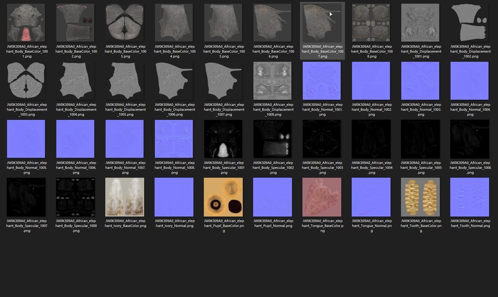 African Elephant Animated 3D model_17