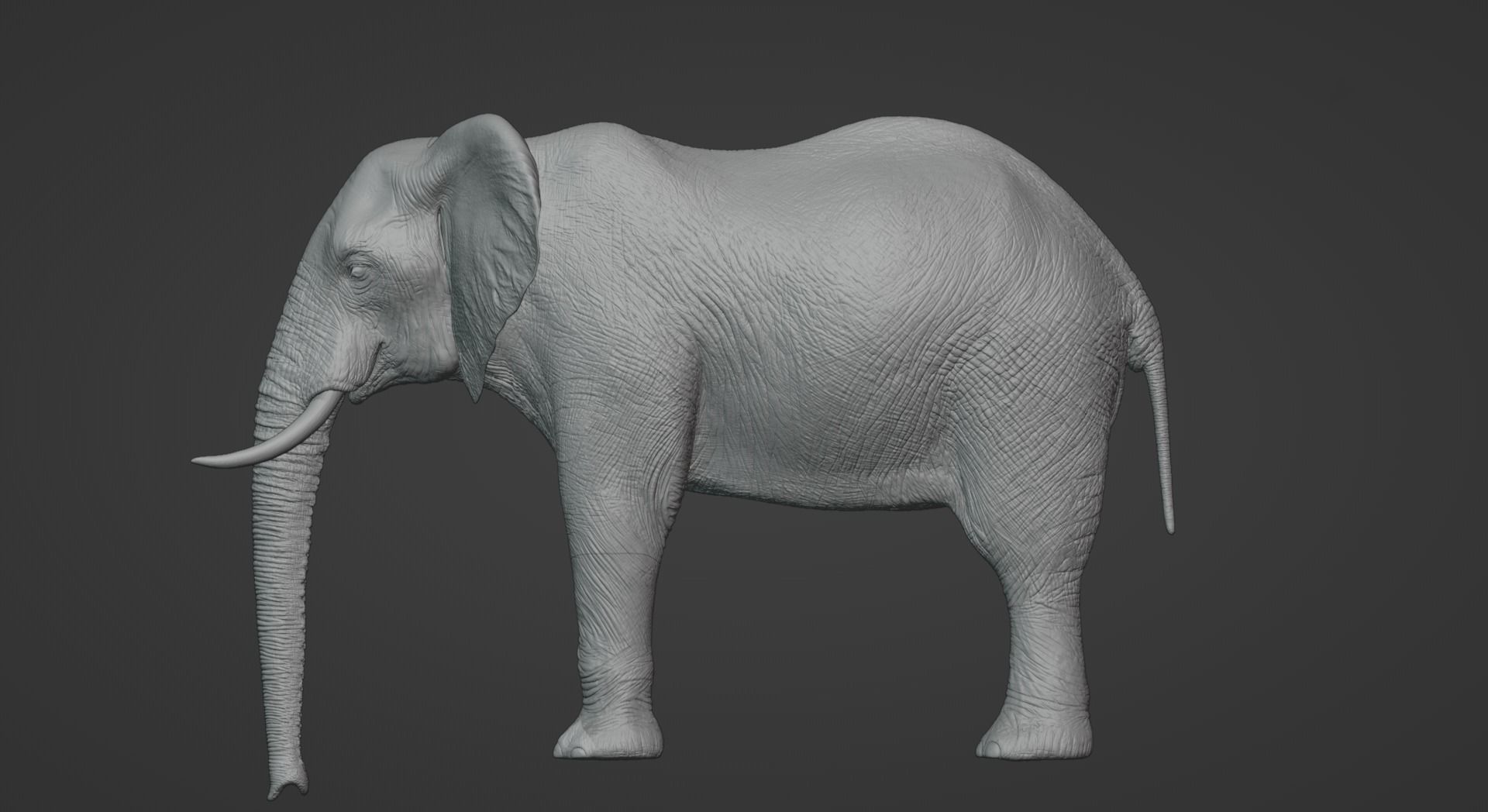 African Elephant Animated 3D model_5